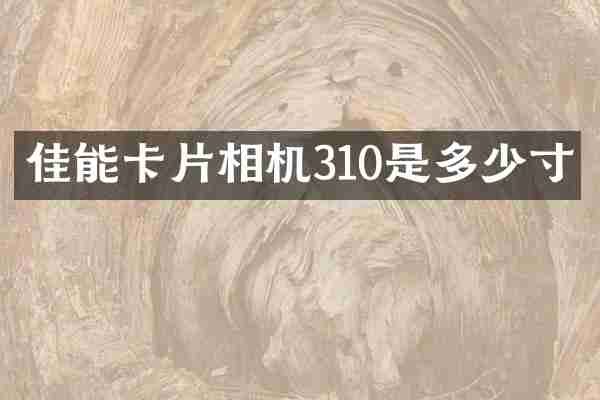 佳能卡片相机310是多少寸