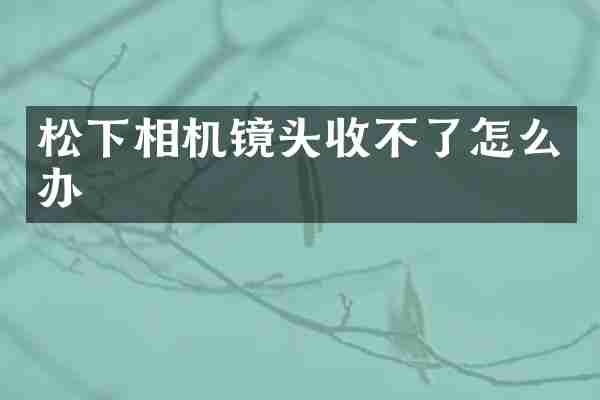 松下相机镜头收不了怎么办