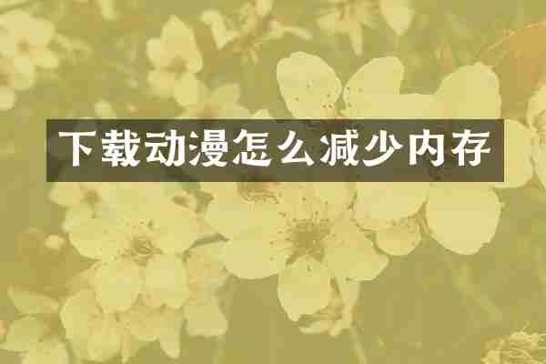 下载动漫怎么减少内存