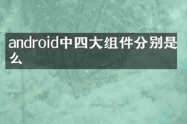android中四大组件分别是什么