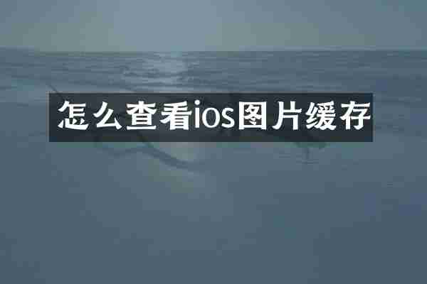 怎么查看ios图片缓存
