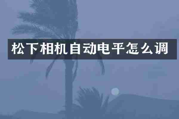 松下相机自动电平怎么调