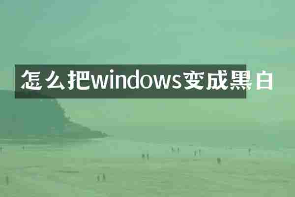 怎么把windows变成黑白