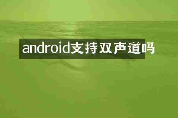 android支持双声道吗