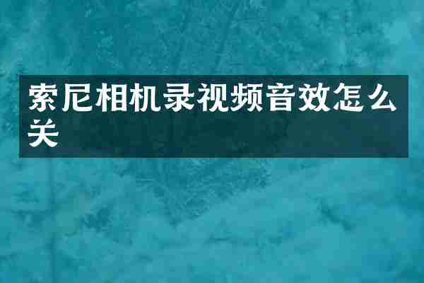 相机录视频音效怎么关