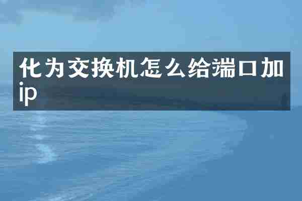 化为交换机怎么给端口加ip