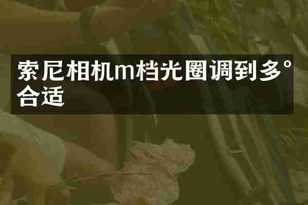 索尼相机m档光圈调到多少合适