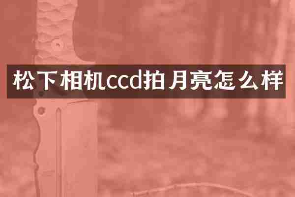 松下相机ccd拍月亮怎么样
