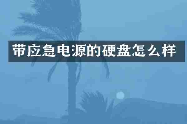 带应急电源的硬盘怎么样