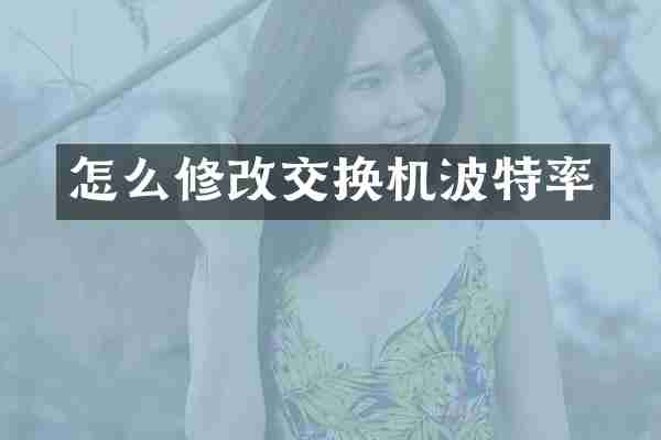 怎么修改交换机波特率