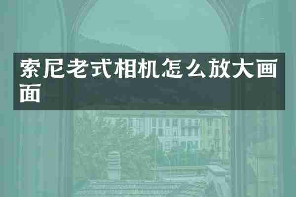 索尼老式相机怎么放大画面
