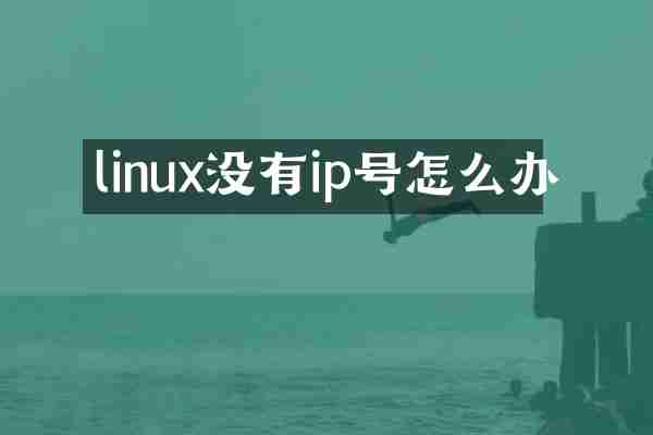 linux没有ip号怎么办