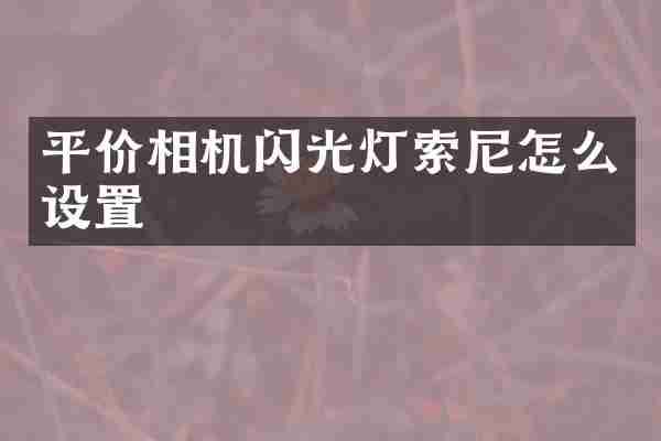 平价相机闪光灯索尼怎么设置