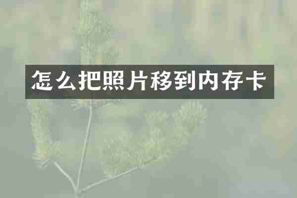 怎么把照片移到内存卡