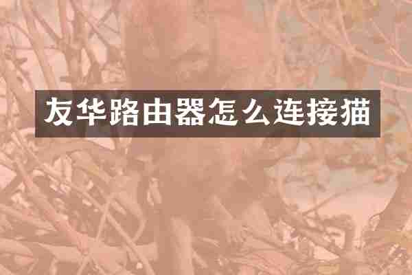 友华路由器怎么连接猫
