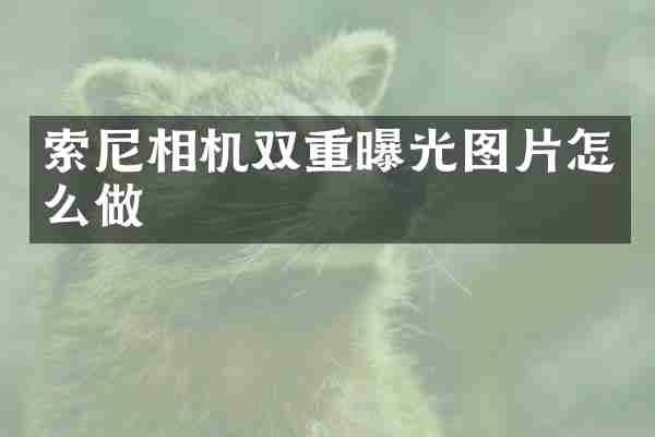 索尼相机双重曝光图片怎么做