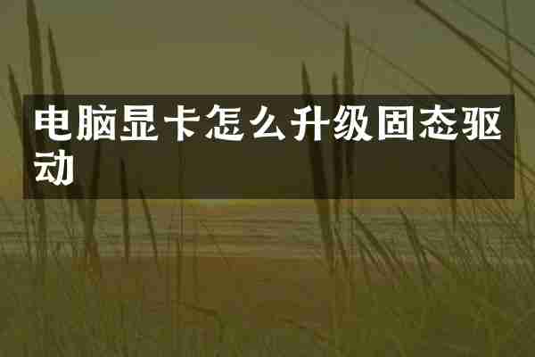电脑显卡怎么升级固态驱动