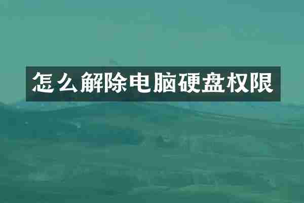怎么解除电脑硬盘权限