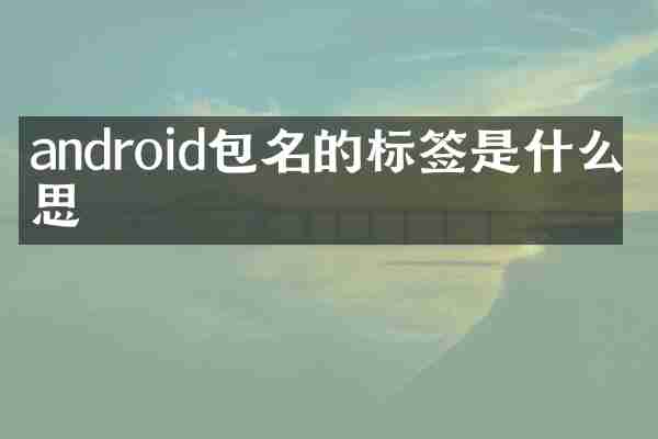 android包名的标签是什么意思