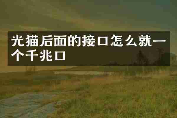 光猫后面的接口怎么就一个千兆口