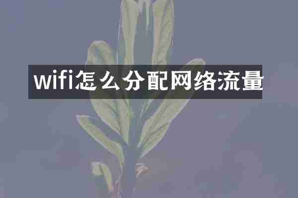 wifi怎么分配网络流量
