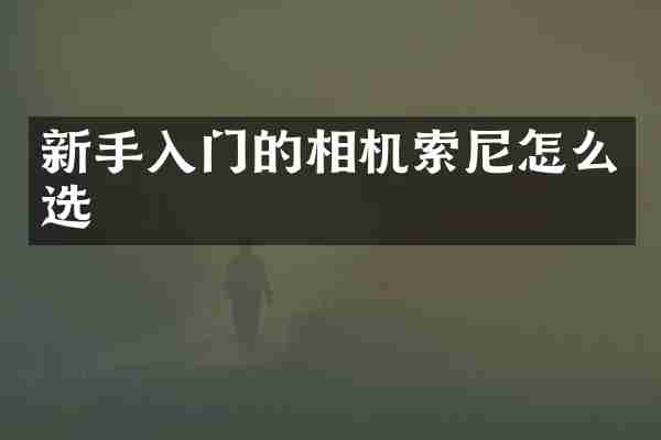 新手入门的相机索尼怎么选