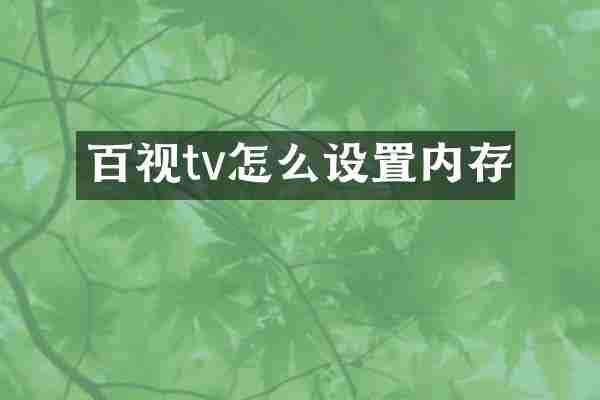 百视tv怎么设置内存