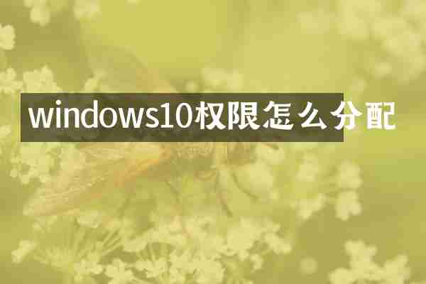 windows10权限怎么分配