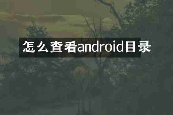 怎么查看android目录