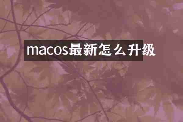 macos最新怎么升级