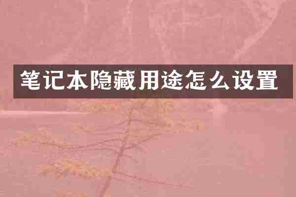 笔记本隐藏用途怎么设置