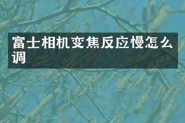 富士相机变焦反应慢怎么调