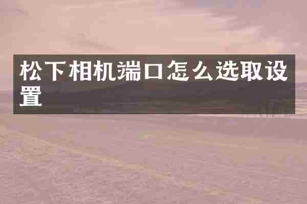 松下相机端口怎么选取设置
