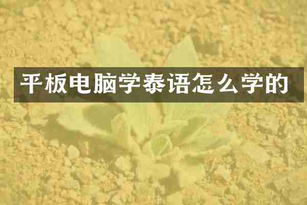 平板电脑学泰语怎么学的