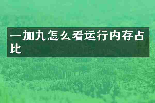 一加九怎么看运行内存占比