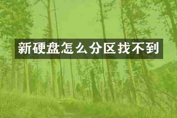 新硬盘怎么分区找不到