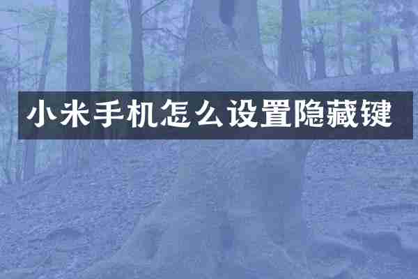 小米手机怎么设置隐藏键