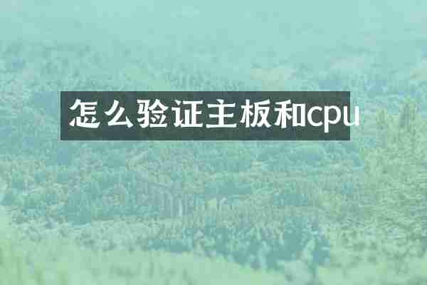怎么验证主板和cpu