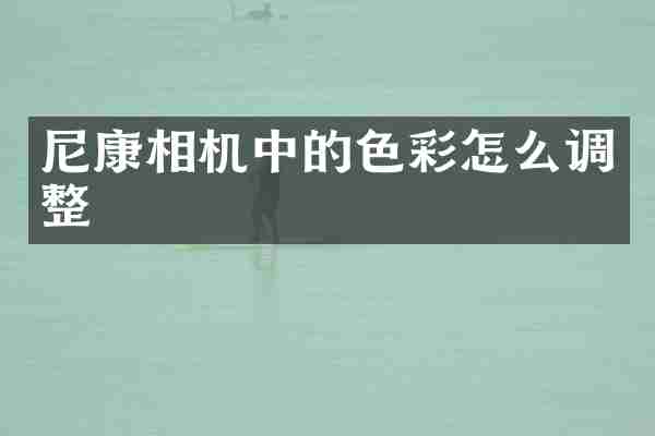 尼康相机中的色彩怎么调整