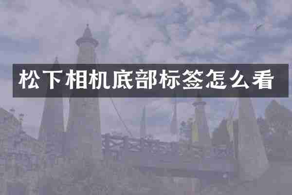 松下相机底部标签怎么看