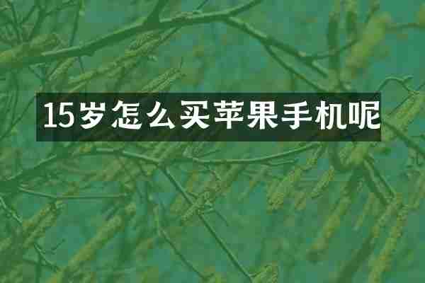 15岁怎么买苹果手机呢