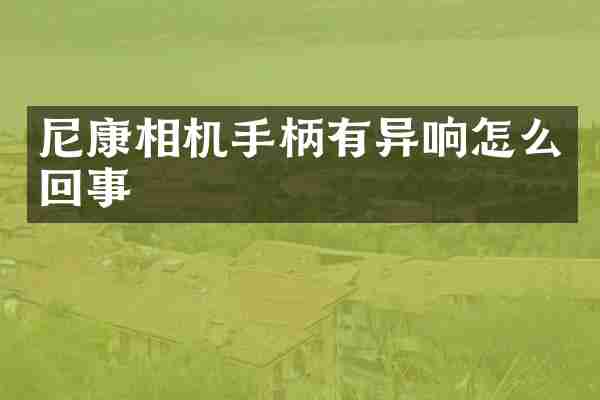 尼康相机手柄有异响怎么回事
