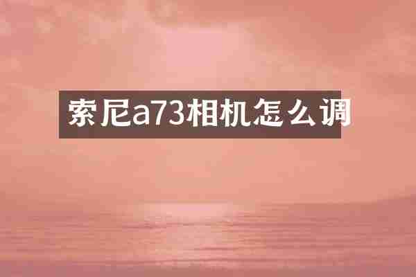 索尼a73相机怎么调