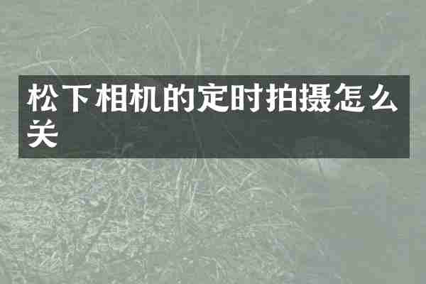 松下相机的定时拍摄怎么关