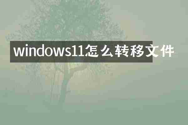 windows11怎么转移文件