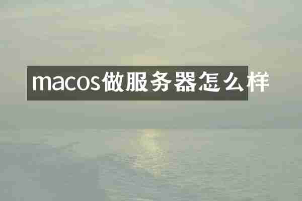 macos做服务器怎么样