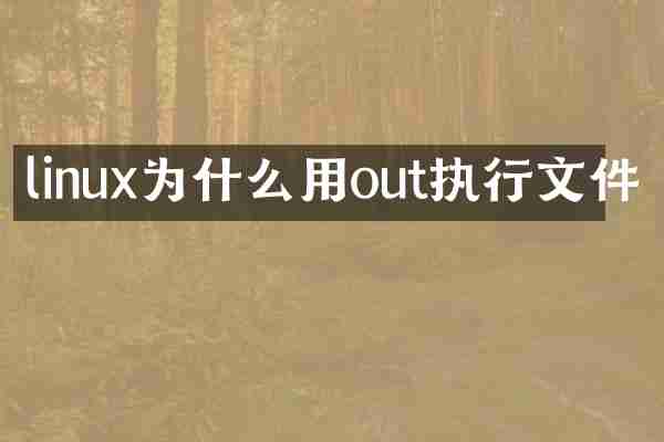 linux为什么用out执行文件