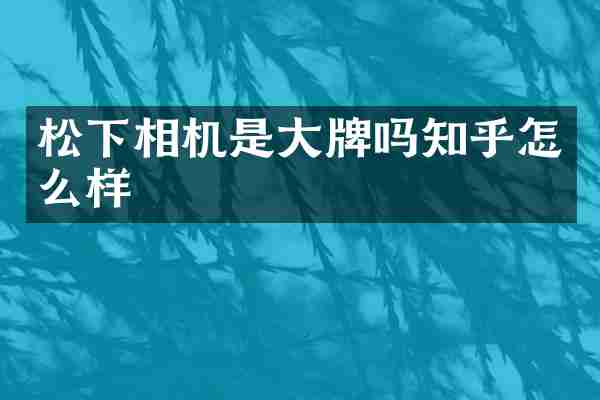 松下相机是大牌吗知乎怎么样