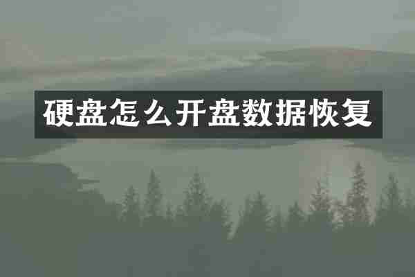 硬盘怎么开盘数据恢复