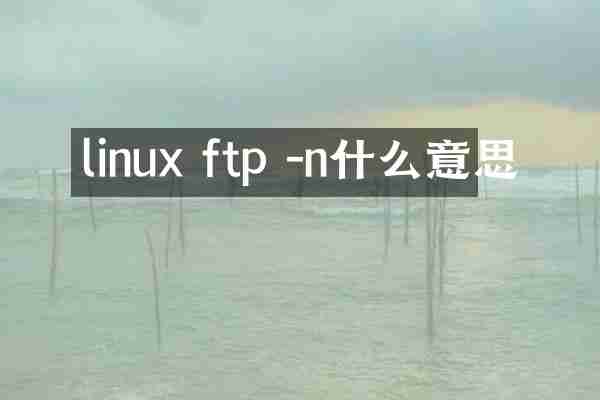linux ftp -n什么意思